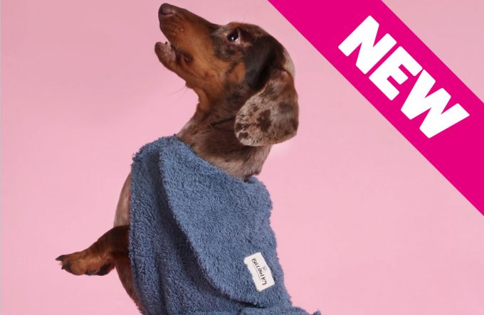 Dog Drying Coat – Blue