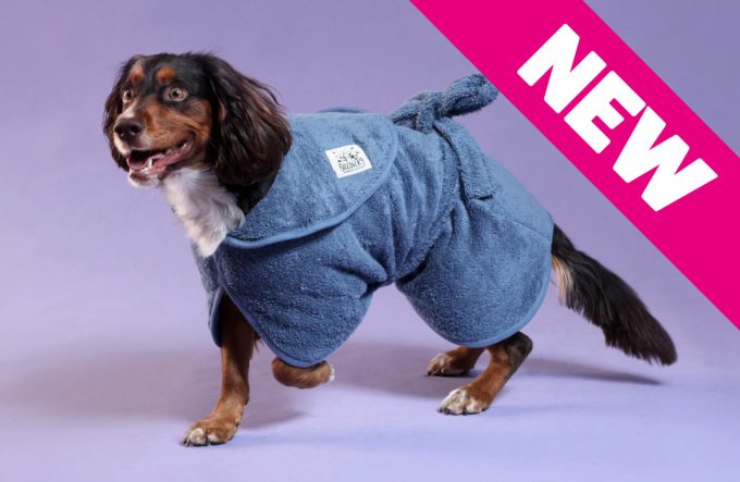 Dog Drying Coat – Blue