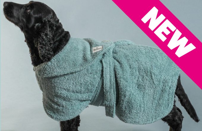 Dog Drying Coat – Mint