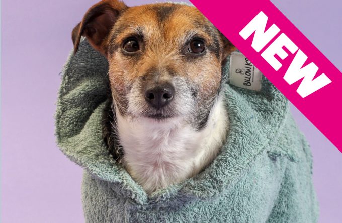 Dog Drying Coat – Mint