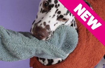 Dog Drying Mitts – Mint