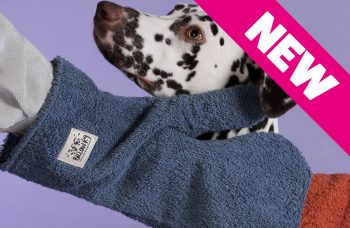Dog Drying Mitts – Blue
