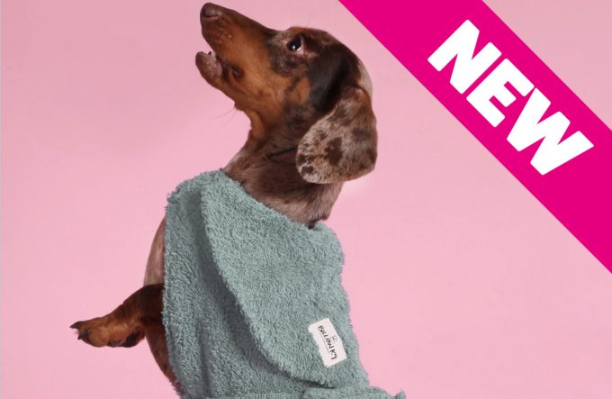 Dog Drying Coat – Mint