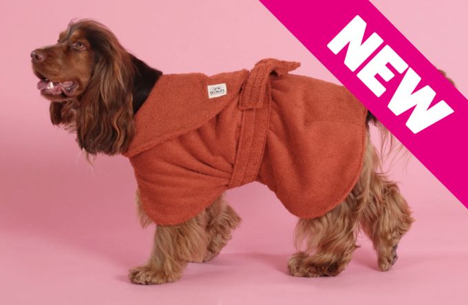 Dog Drying Coat – Rust