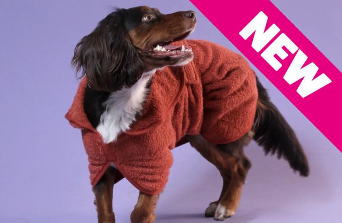 Dog Drying Coat – Rust