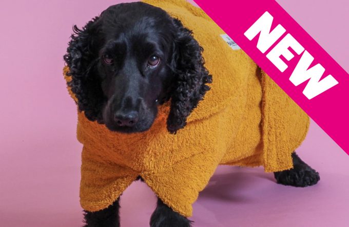 Dog Drying Coat – Yellow