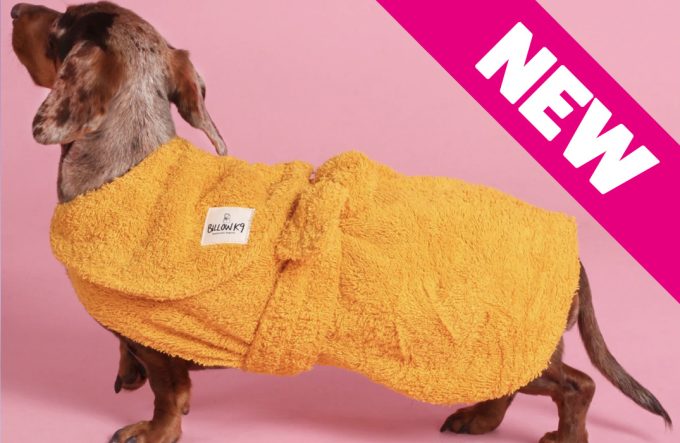 Dog Drying Coat – Yellow